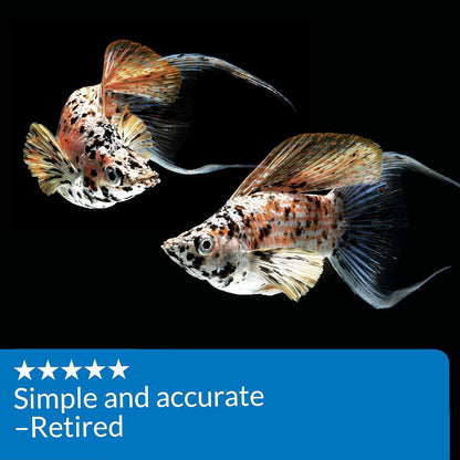 API Test Strips Ammonia