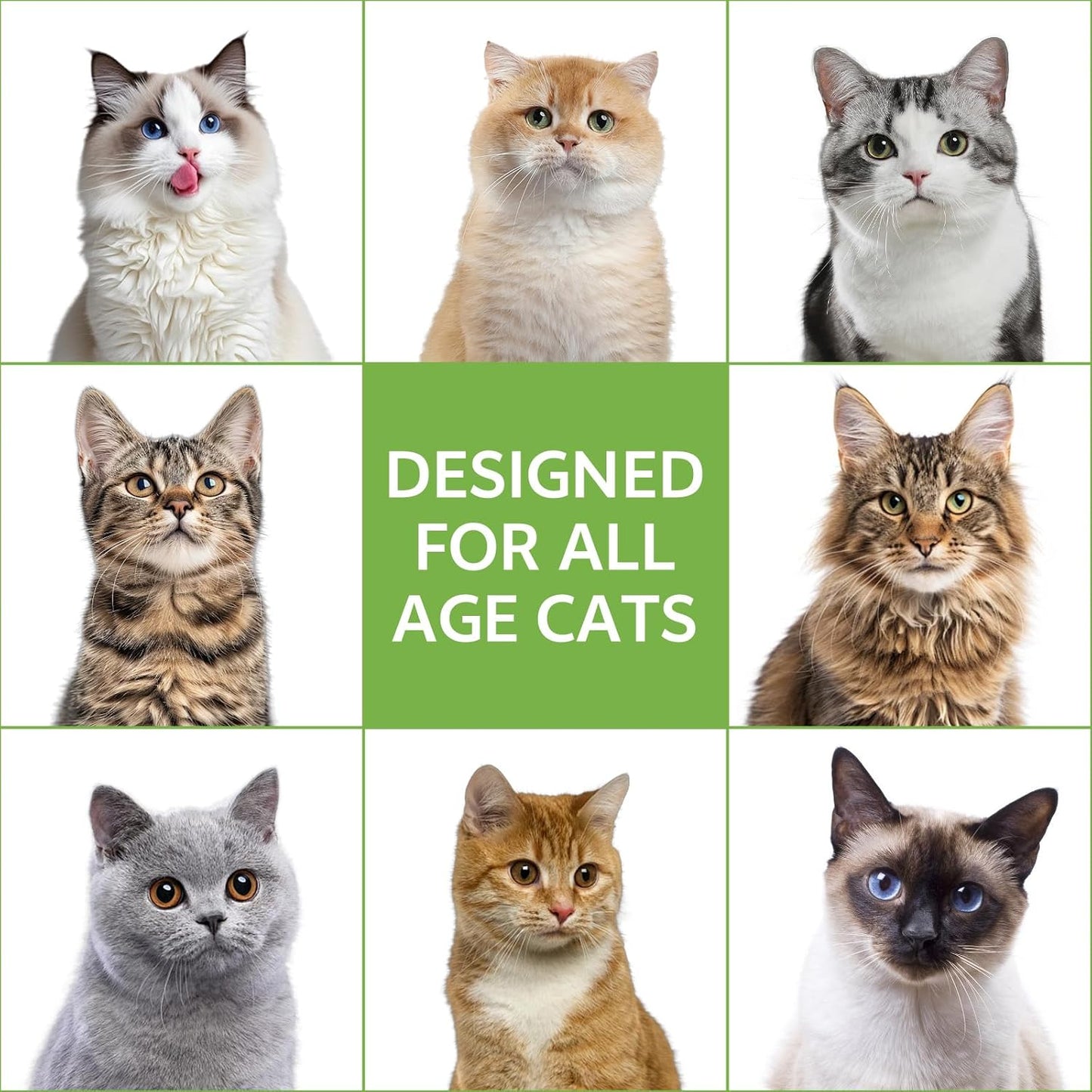 Natural Cat Deterrent Spray, 200ML Kitten Cat Repellent Spray Anti-Scratch for Furniture, Sofas, Curtains, Plants, Non-Toxic, Non-Alcohol Behavior Training Aid for Indoor & Outdoor