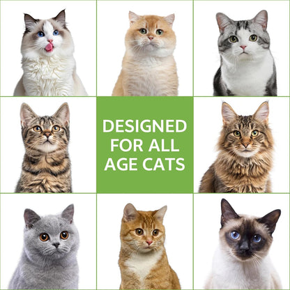 Natural Cat Deterrent Spray, 200ML Kitten Cat Repellent Spray Anti-Scratch for Furniture, Sofas, Curtains, Plants, Non-Toxic, Non-Alcohol Behavior Training Aid for Indoor & Outdoor