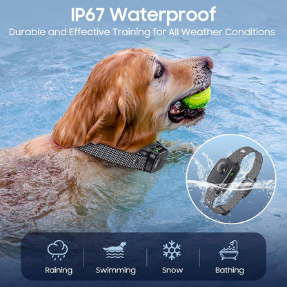 Bark Collar 2 Pack, Dog Bark Collar for Large Medium Dogs 30-120lbs, Automatic Waterproof Barking Collar with Beep Vibration and 5 Adjustable Sensitivity