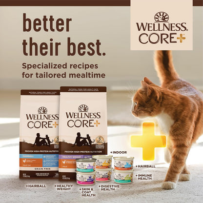 Wellness CORE+ Digestive Health Pate Adult Wet Cat Food, Natural, Protein-Rich, Grain Free, 3 Ounce, 12 Pack (Turkey)