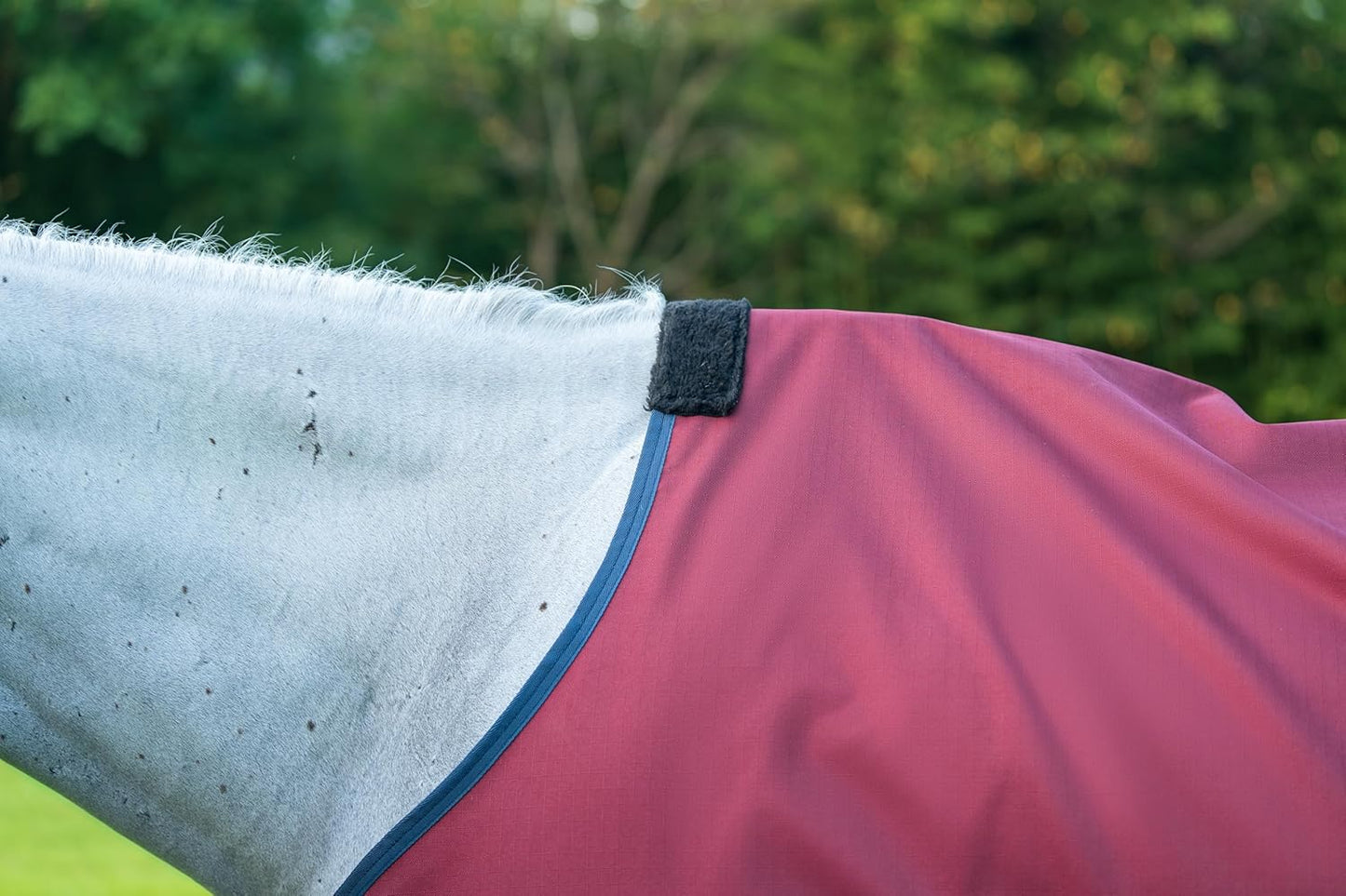 Waterproof Horse Rain Sheet | Horse Turnout Sheets | 600 Denier Ripstop Turnout Blanket | Breathable Lightweight No Fill (0g) | Tear-Resistant Outer & Rub-Free Silky Inner
