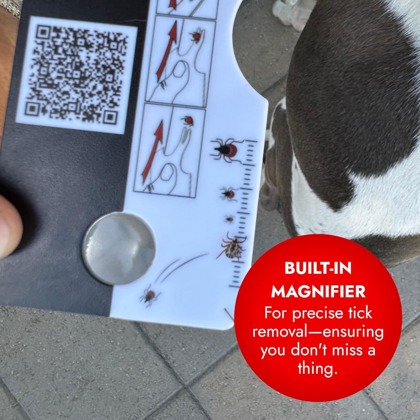 Pet Vet Tick Remover Card Wallet Sized (3 Pack) – Tick Removal Tool – Pet & Human Dog Tick Control - Safe, Pain-Free, Reliable, & Complete Removal of Big and Small Ticks – Dog Accessories