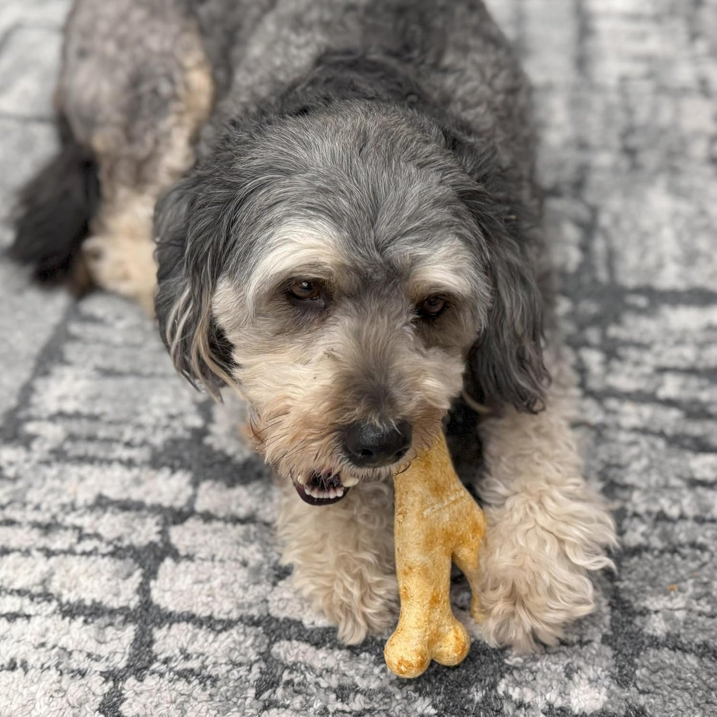 Fieldcrest Farms Nothin' to Hide Collagen-Based Dog Chews, Wishbone, Chicken Flavor, Ultra-Premium, for Dogs Over 50lbs, Easily Digestible, Supports Skin, Coat, Joints & Muscles, 7-Inch, 2 Pieces