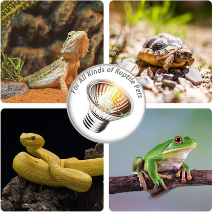 4-Pack 25W UVA Bulbs, Fit E26 Heat Reptile Lamp, Light Turtle Heat Lamp for Reptiles and Amphibian Tanks, Terrariums and Cages, Works with Various Lamp Fixtures,for Lizards, Snakes, Turtles