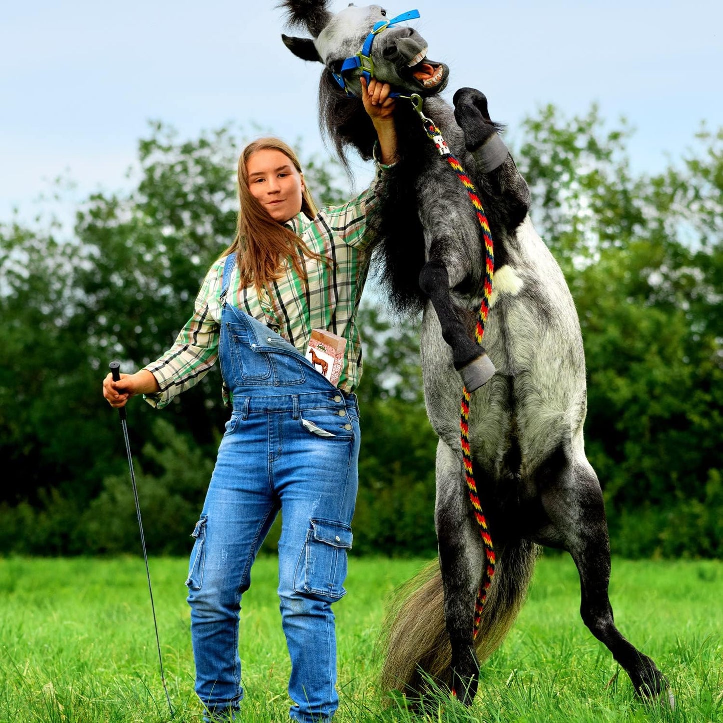 Licking Salt for Horse, 100% Pure Himalayan Pink Salt Chunks, 6 LBS, Animal Feed Salt Chunks, Horse Salt Licks, Natural Mineral Salt - Pack of 2