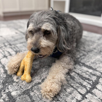 Fieldcrest Farms Nothin' to Hide Collagen-Based Dog Chews, Wishbone, Chicken Flavor, Ultra-Premium, for Dogs Over 50lbs, Easily Digestible, Supports Skin, Coat, Joints & Muscles, 7-Inch, 2 Pieces