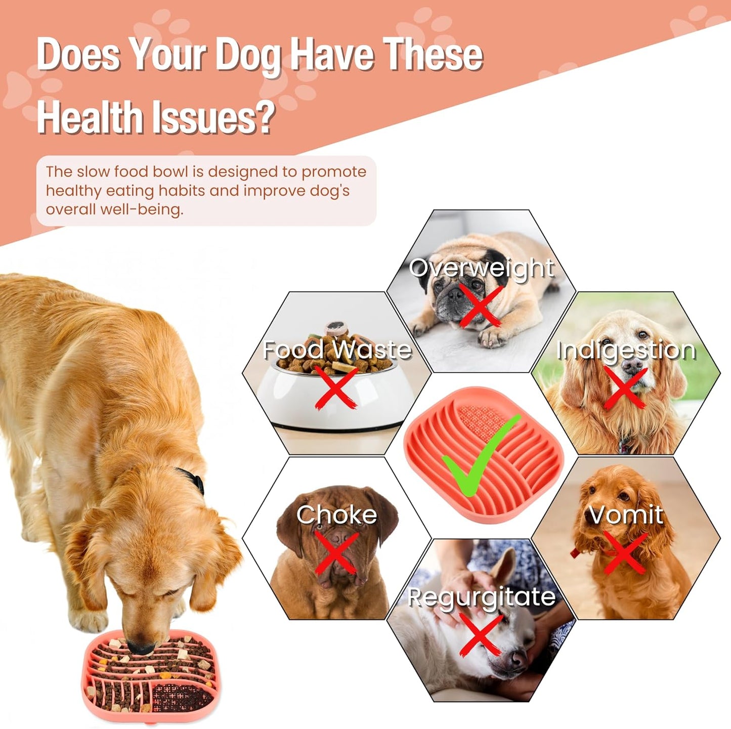 Slow Feeder Bowl With Lick Mat for Medium & Large Breed Dogs - Non-Slip Silicone (Coral)