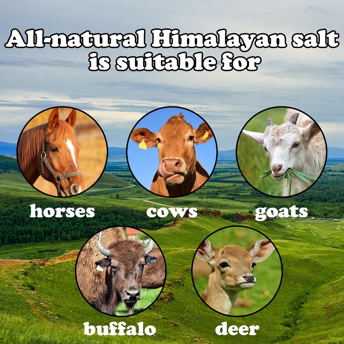 Himalayan Pink Deer Salt Lick on Rope Pack of 2 Natural Organic Mineral Intake Long Lasting Hunting Animal Salt Lick Block for Horses,Cattle,Sheep Livestock(4.8-6.6 lbs)