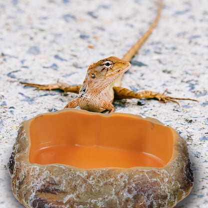 Resin Rock Worm Feeder Dish and Tortoise Water Bowl Reptile Food Holder XS Size Terrarium Feeding Supplies for Lizards Geckos Turtles and Amphibians