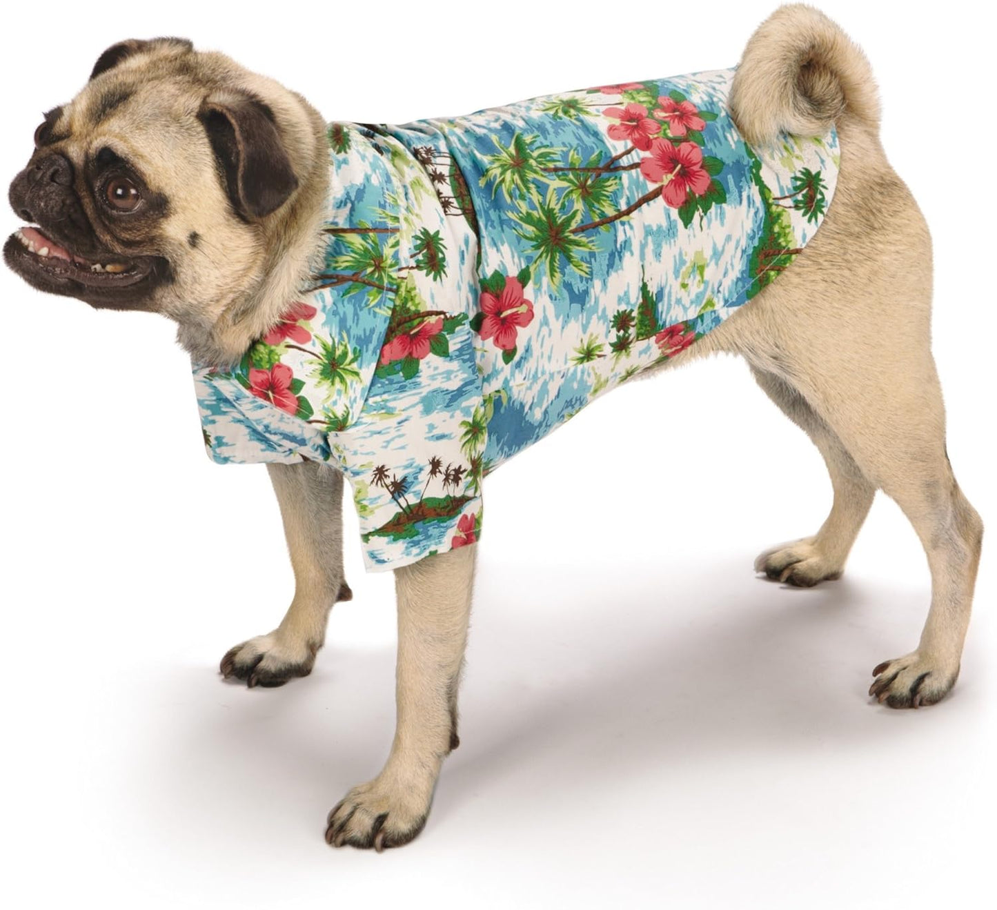 Casual Canine Pet Supplies Camp pet shirts, Blue, Small Medium US