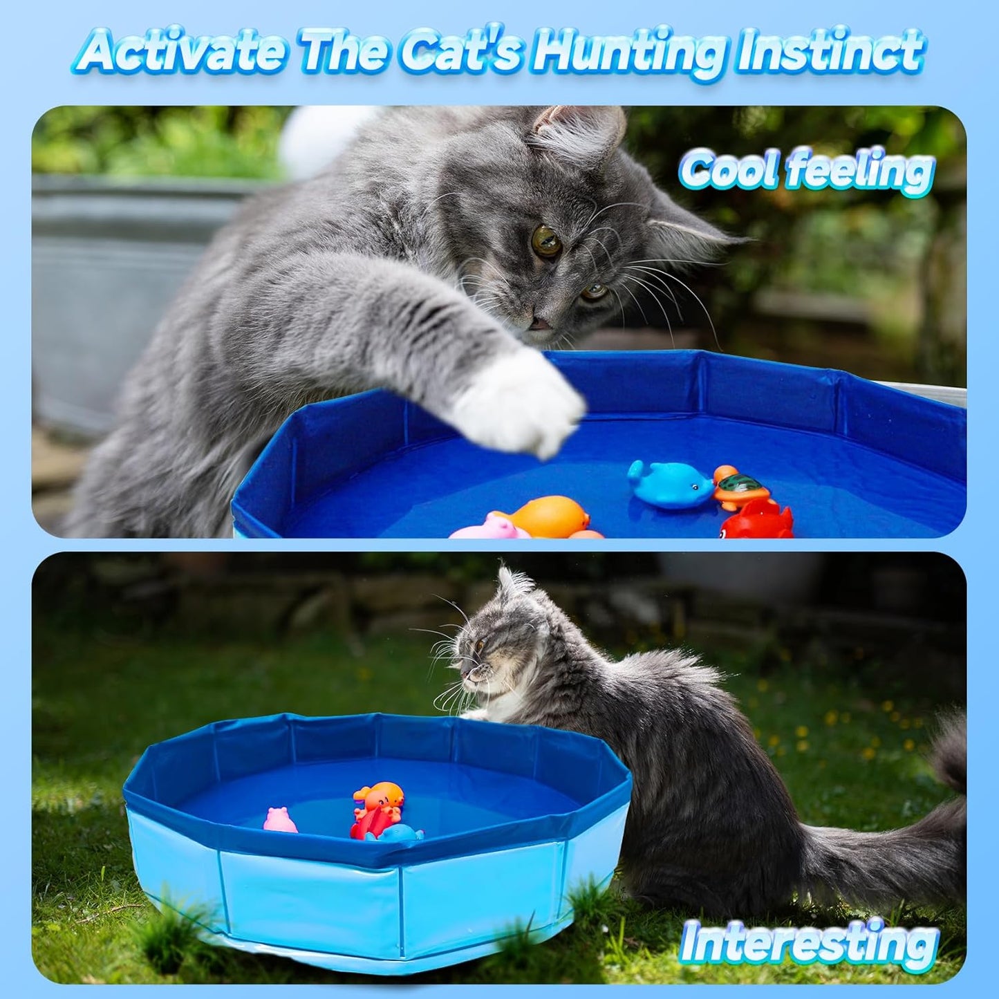 Eelexa Portable Cat Pool Toy with 6 Fish-Shaped Water Toys, Interactive Splash-Proof Indoor Cat Toys for Boredom Relief, Self-Play Cat Pool for Bored Cats, Easy Fill & Drain Design