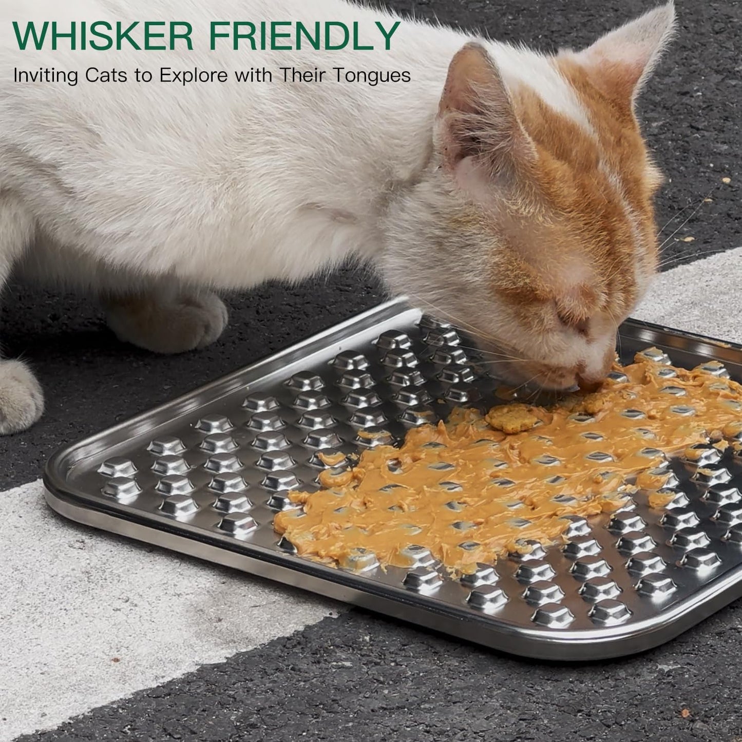 Lick Mat + Water Bowl Set