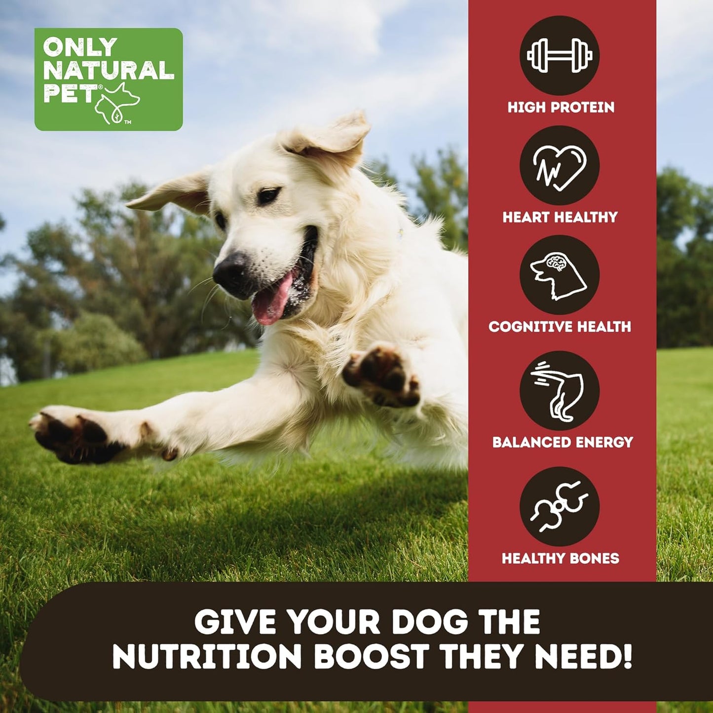 Only Natural Pet RawMeals Beef Recipe Freeze-Dried Dog Food - High-Protein, Grain-Free, with Organ Meat, Fruits & Veggies - Complete Meal, Topper or Treat for All Breeds & Picky Eaters - 25 oz