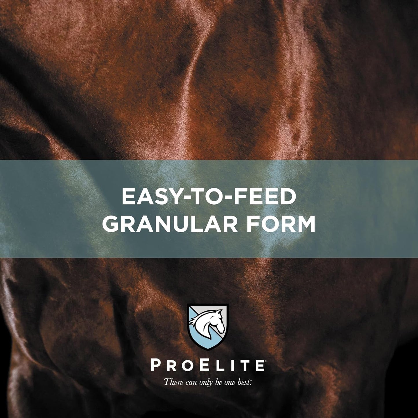 ProElite Topline Advanced Support, Topline Supplement for Horses, 2.2 lbs