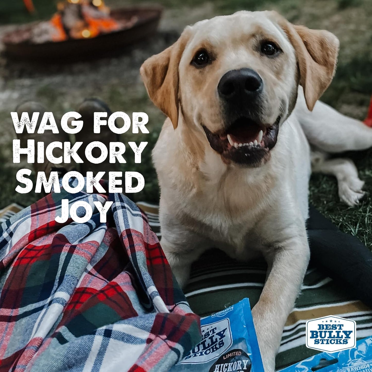 Premium Hickory Smoked Chicken Quick Sticks - 6 Inch, 8 Count (Pack of 2) - No Additives, 100% Natural, Collagen, All Breeds