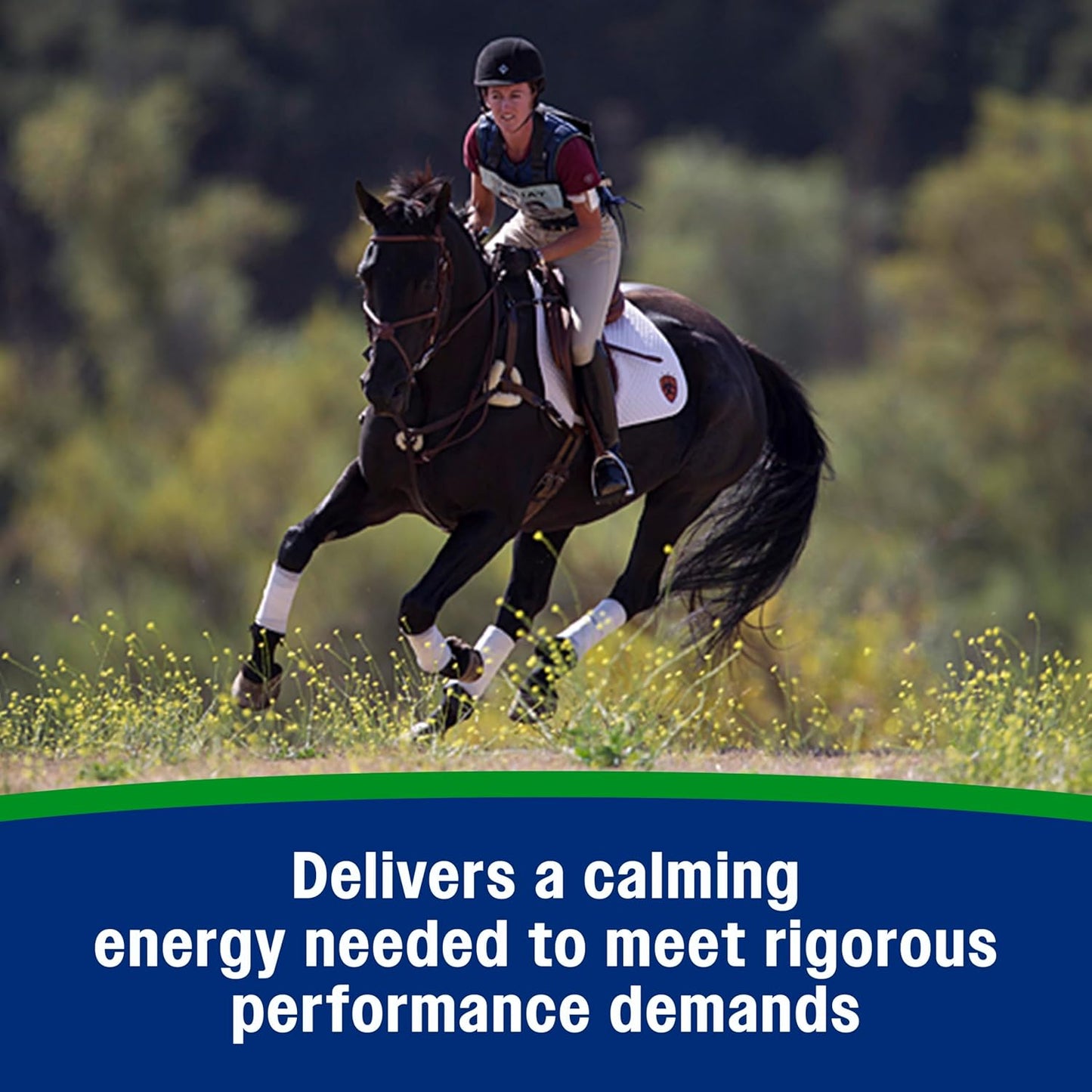 Farnam Weight Builder Weight Support Supplement for Horses, Helps Maintain Optimal Body Condition, 7.5 lb, 30 Day Supply