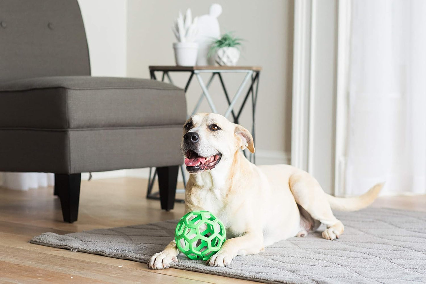 JW Pet Hol-ee Roller Dog Toy Puzzle Ball, Natural Rubber, Large (5.5 Inch Diameter), Colors May Vary