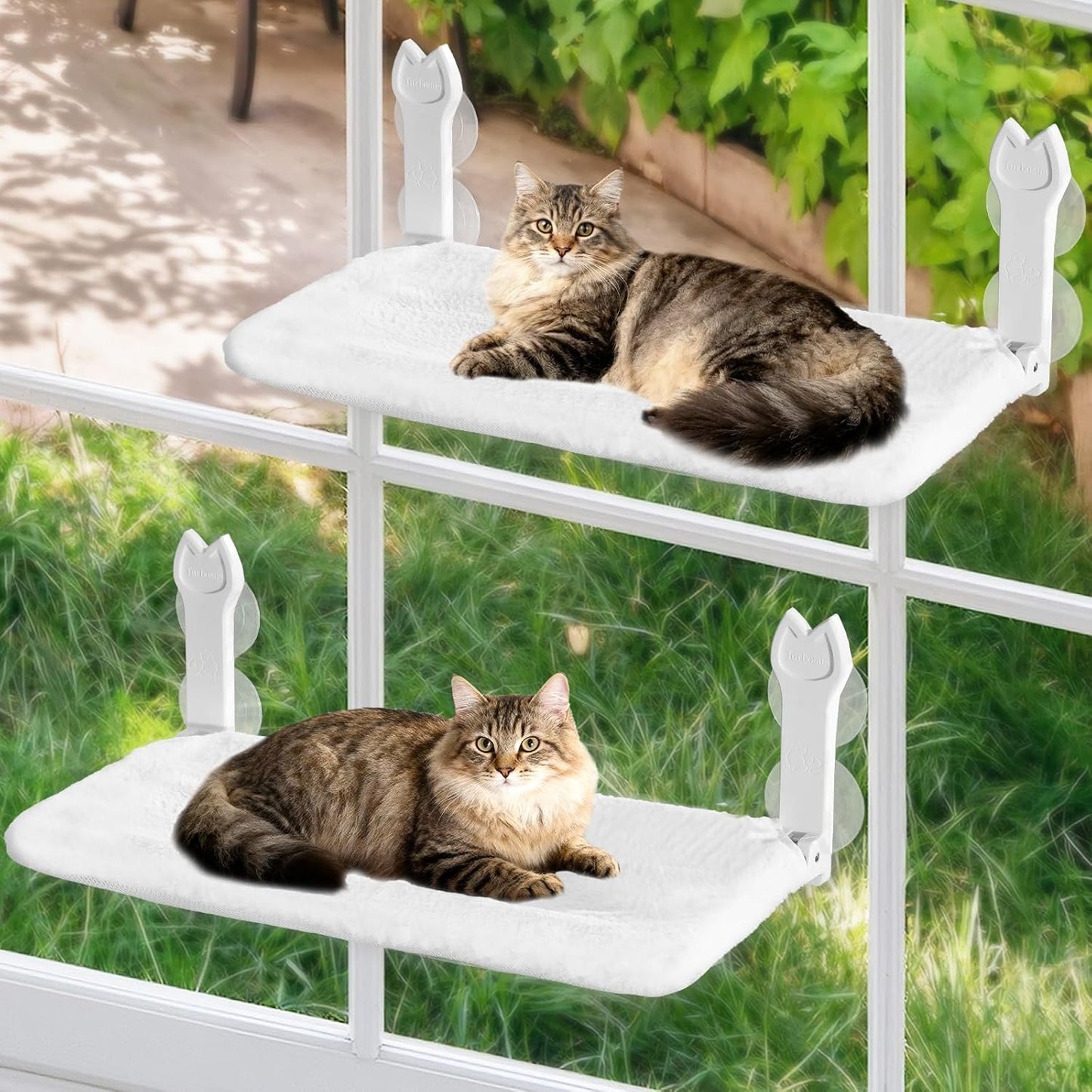 2 Pack Large Size Cat Window Perch,Cat Window Hammock Cordless Foldable Window Bed with 4 Large Strong Suction Cup,Reversible Cushion Cover,Metal Frame Easy to Adjust Window Seat (White，L)