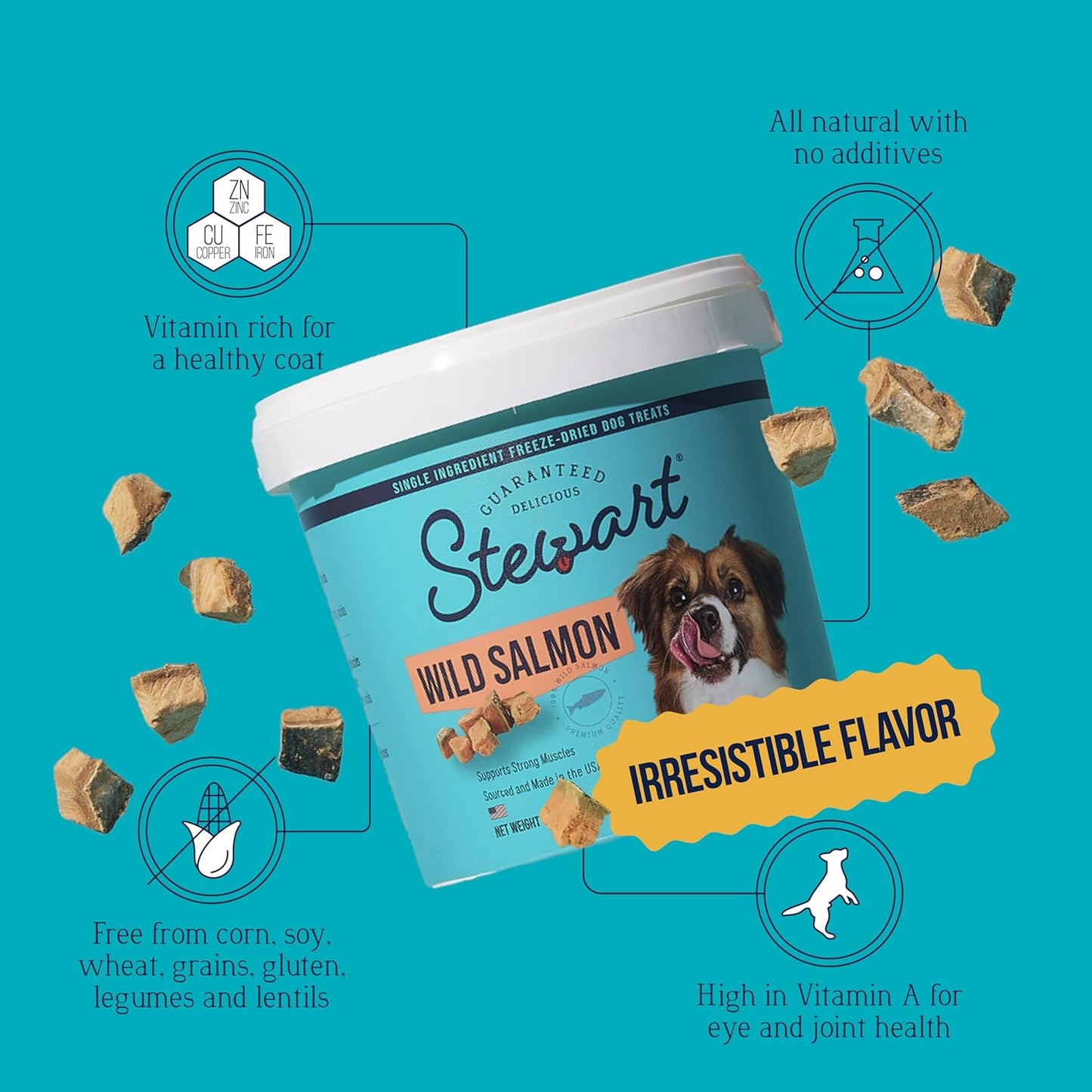 Stewart Wild Salmon Dog Treats, 9.5 oz, ~190 Pieces, Freeze Dried Raw, Single Ingredient, 65% Protein Training Treats or Meal Topper in a Resealable Tub, Grain Free, Gluten Free