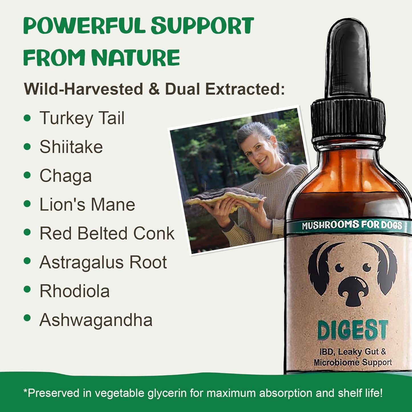 MycoDog Digest - Digestive Support Mushroom Supplement for Dogs - Holistic Gut Support - Adaptogens & Functional Mushrooms for Microbiome Balance, Probiotic Alternative