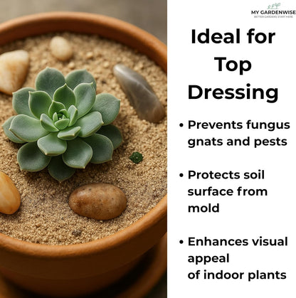 Fine Sand for Plants – Horticultural Sand for Succulents, Cactus, Potting Mixes, Terrariums & Decorative Indoor Gardens, Made in USA (1 Quart - 2.8 lbs)