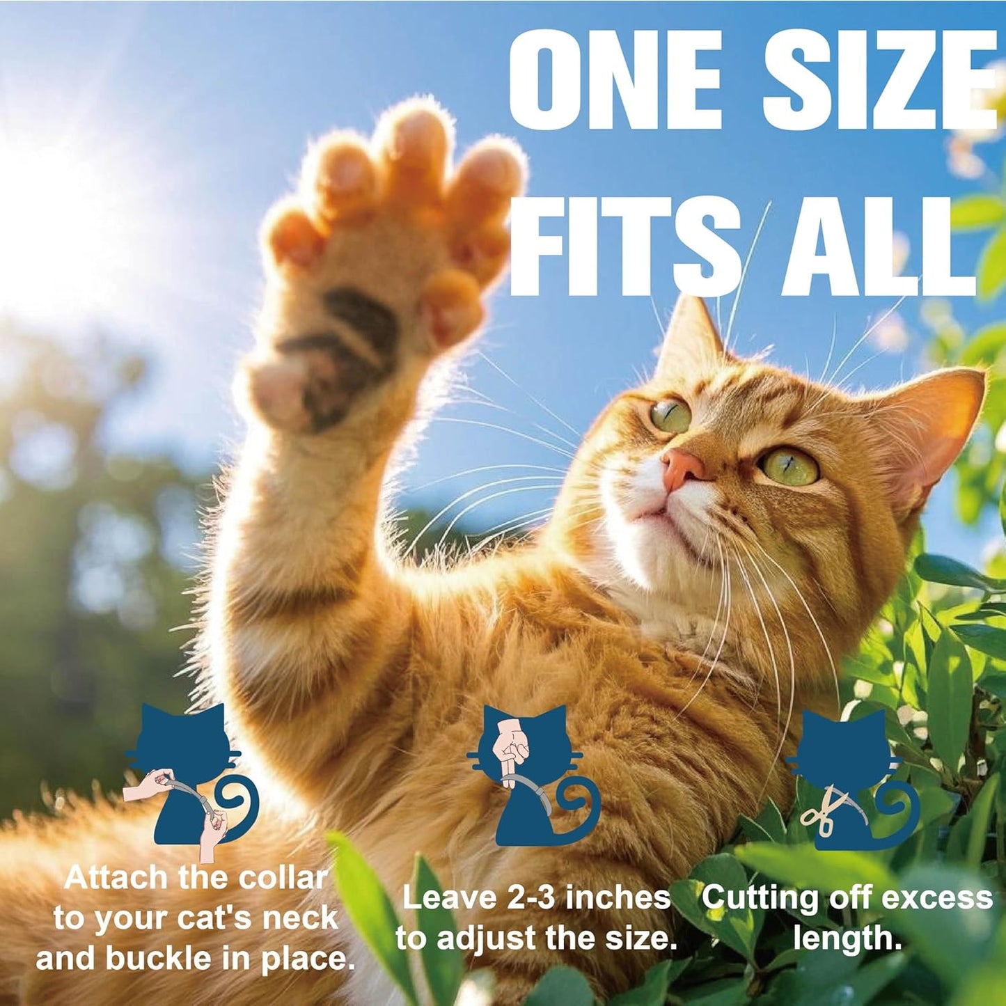 Flea Collar for Cats, Flea and Tick Collars for Kittens, Flea & Tick Treatment Prevention, Natural Essential Oil, 2 Pack, 16 Months Protection, One Size Fits All, Waterproof