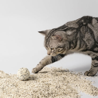 Lady N Ultimate Litter Bundle: Pellet Tofu Cat Litter (Unscented 18lb) + Infinity Scoop, Dust-Free, Low Tracking, Odor Control, with Scoop Designed for Tofu Litter