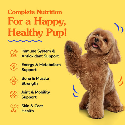 Dr Jay's Romps Multivitamins Dog Chews - Collagen Type II for Joint Health, Digestion, Skin & Coat - Vitamins and Supplements to Boost Immune System - Perfect Treats for Pets - 30 Count