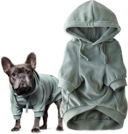 Cooper II Organic Cotton Velour Dog Hoodie Pet Coat for Small, Medium and Large Dogs, Sage, Medium (20-45 lbs)
