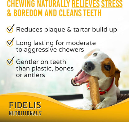 FIDELIS Rawhide Free Dog Chews Long Lasting, Treat Sticks, Dog Treats, Small & Large Dogs, Beef Collagen, Gluten Free, Grain Free, Pet Chew, Bones-Alternative, Made in USA, 4pk, Chicken, 7"