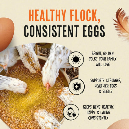 Roosty's Gold Dust Daily Egg Booster - Golden Yolks and Stronger Shells - All Natural Omega-3 Rich - US Made Chicken Supplement - Chicken Health Supplies