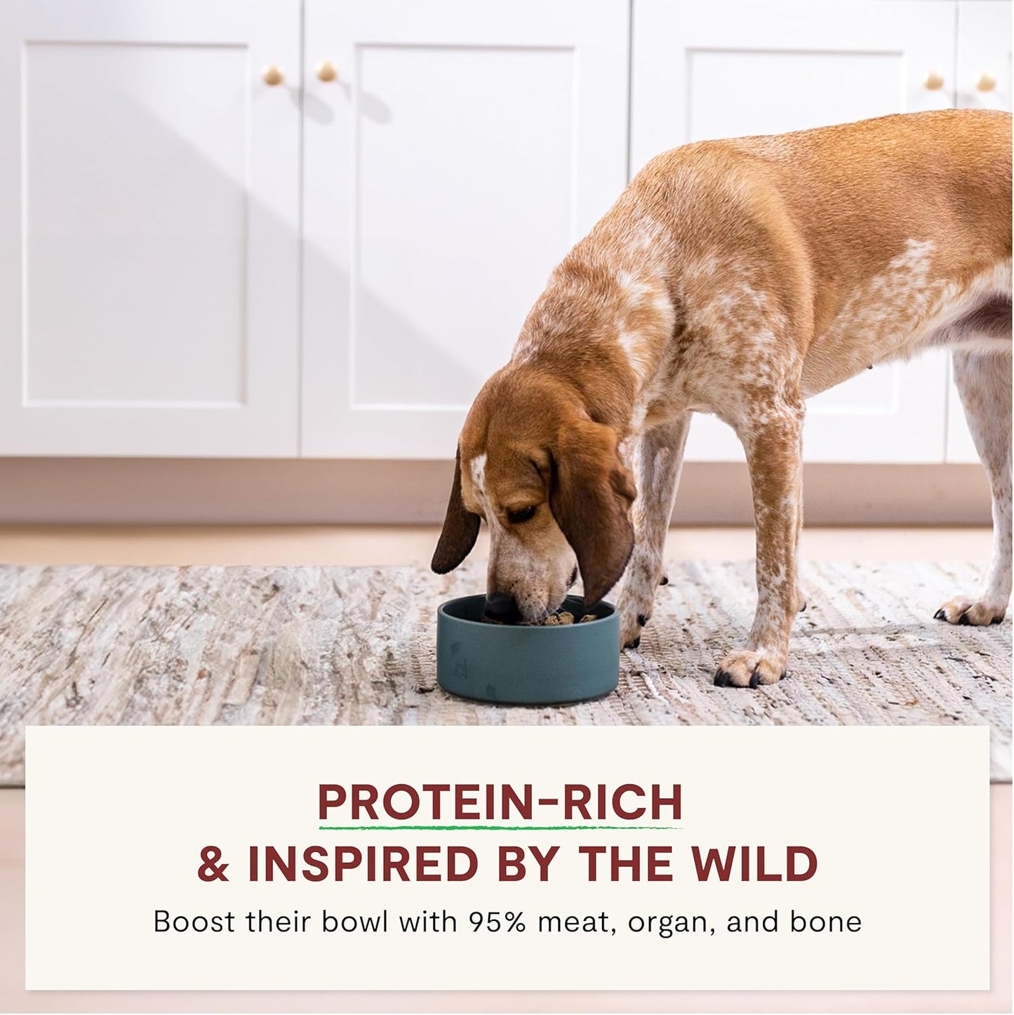 Open Farm, RawMix Freeze Dried Raw Morsels, Dog Food Topper & Meal Mixer, High Protein & Bone Broth Infused with 95% Real Meat, Organs & Bones, Front Range Recipe with Beef, Pork & Lamb, 13.5oz Bag