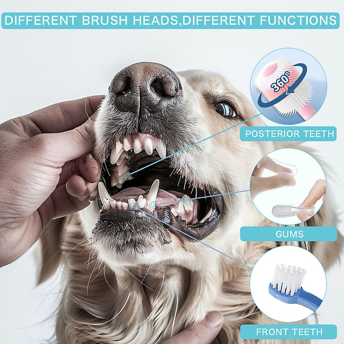 Dog Toothbrush, 360 Degree Finger Toothbrushes, Triple Head Toothbrushes, Double Head Toothbrush,Cleaning Brushes for Dog Cat Oral Dental Health (Blue, L)