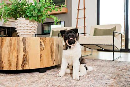 N-Bone Puppy Teething Ring Pumpkin Flavor 7.2 OZ/(6 Pack)