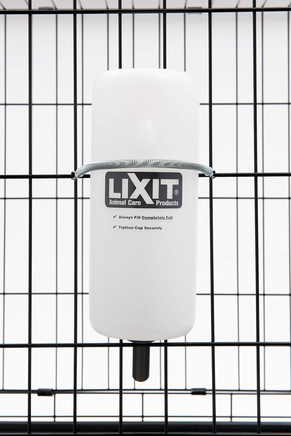 Lixit Wide Mouth Water Bottles for Large and Small Dogs (32oz Large Dog, White)