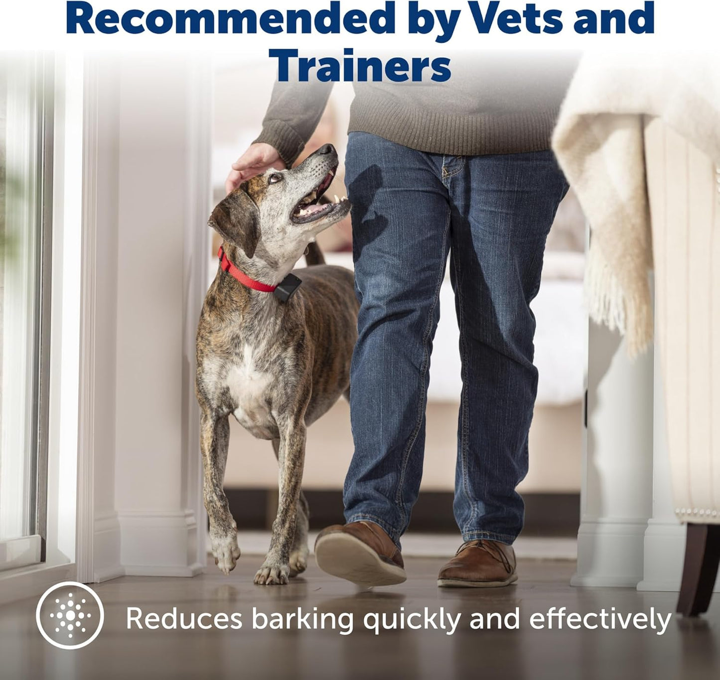 PetSafe Basic Bark Control Collar - Effective & Accurate Bark Detection Collar - Safe & Reliable Training with Multiple Static Stimulation Levels - Waterproof & Battery-Operated