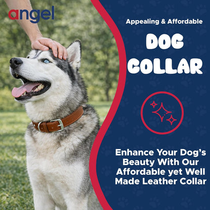 Genuine Top Grain Leather Padded Dog Collar | Handmade | Super Soft & Strong | Western Tooled Dog Collar | Brass & Stainless Steel Hardware | Dallas Collection by Angel Pet Supplies