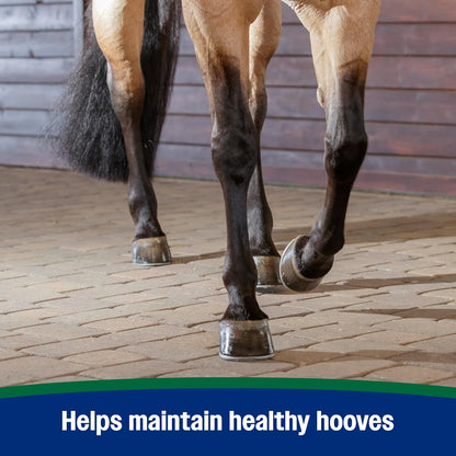 Farnam Horseshoer's Secret Pelleted Hoof Supplements, Promotes healthy hoof growth, maintains hoof walls & supports cracked hooves, 38 lbs., 100 day supply