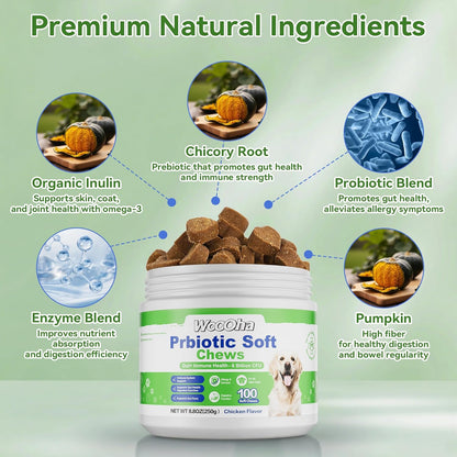 Probiotics for Dogs, Dog Probiotics for Gut Health, Digestive Support, Itchy Skin, Gas & Diarrhea Relief, Dog Probiotic with 6 Billion CFU Prebiotics & Digestive Enzymes, 100 Chews, Chicken Flavor