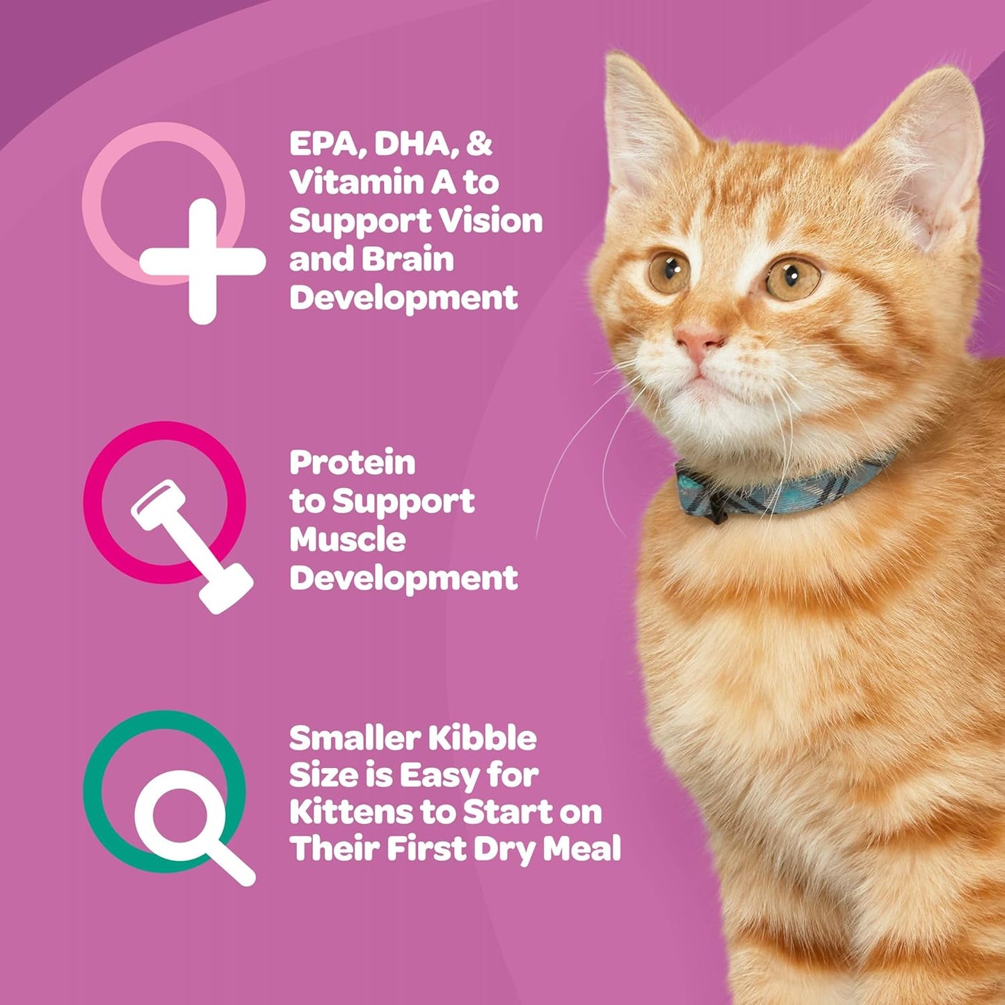 9Lives Kitten Essentials Chicken & Ocean Fish Dry Cat Food, 2.5lb Bag, Pack of 4