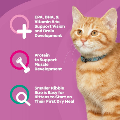 9Lives Kitten Essentials Chicken & Ocean Fish Dry Cat Food, 2.5lb Bag, Pack of 4