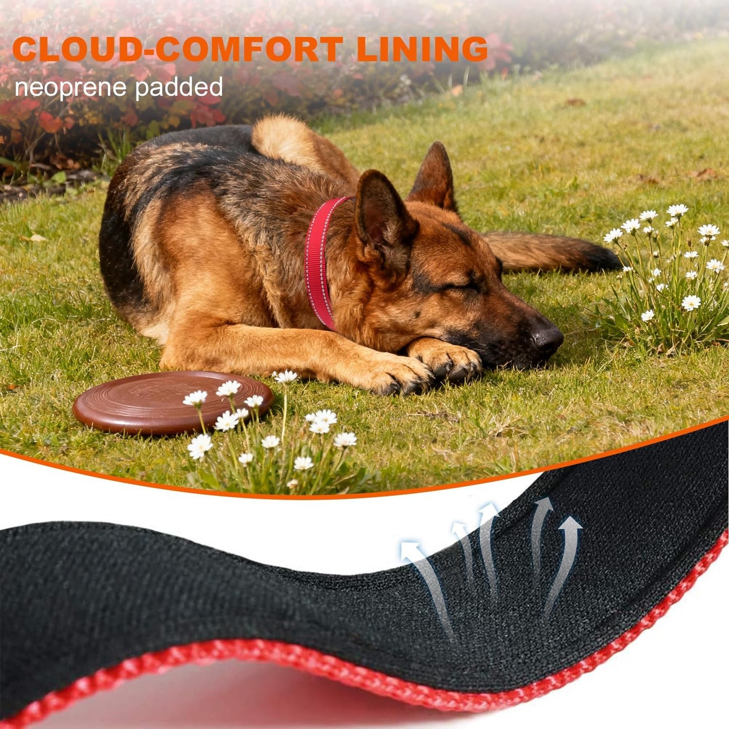 Taglory Reflective Dog Collar with Safety Locking Buckle, Adjustable Nylon Pet Collars for Large Dogs Female Male, Red, L