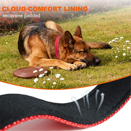 Taglory Reflective Dog Collar with Safety Locking Buckle, Adjustable Nylon Pet Collars for Large Dogs Female Male, Red, L