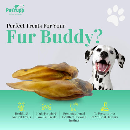 Water Buffalo Ears for Dogs 20 Count - All Natural, Single Ingredient & Long-Lasting Beef Ears for Small, Medium & Large Dogs - Promotes Dental Health & Rawhide Free Dog Treats