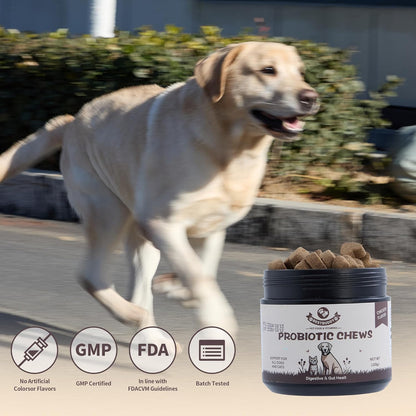 Best Buddy Dog Supplement Bundle – 15-in-1 Multivitamin Treats + Probiotic Chews | Joint, Skin, Coat & Digestive Health Support | Grain-Free Chicken Flavor, 225g Each