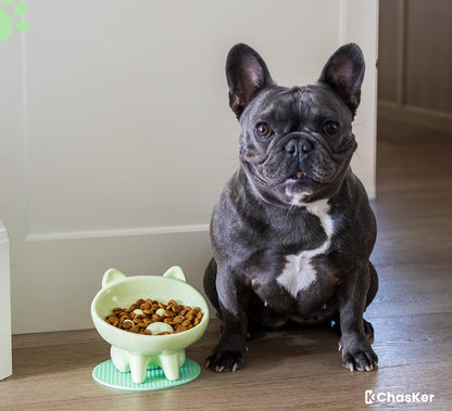 Ceramic Slow Feeder Bowl, Elevated Slow Feeder, Wide-Mouth, PAW Design, Stylish Design, for Fast Eaters, Non Slip, Dogs, Cats, Pets, Small & Medium Sized Breeds, (Green)