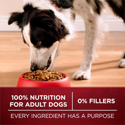 Purina ONE True Instinct With Real Salmon and Tuna Natural With Added Vitamins, Minerals and Nutrients High Protein Dog Food Dry Formula - 15 lb. Bag
