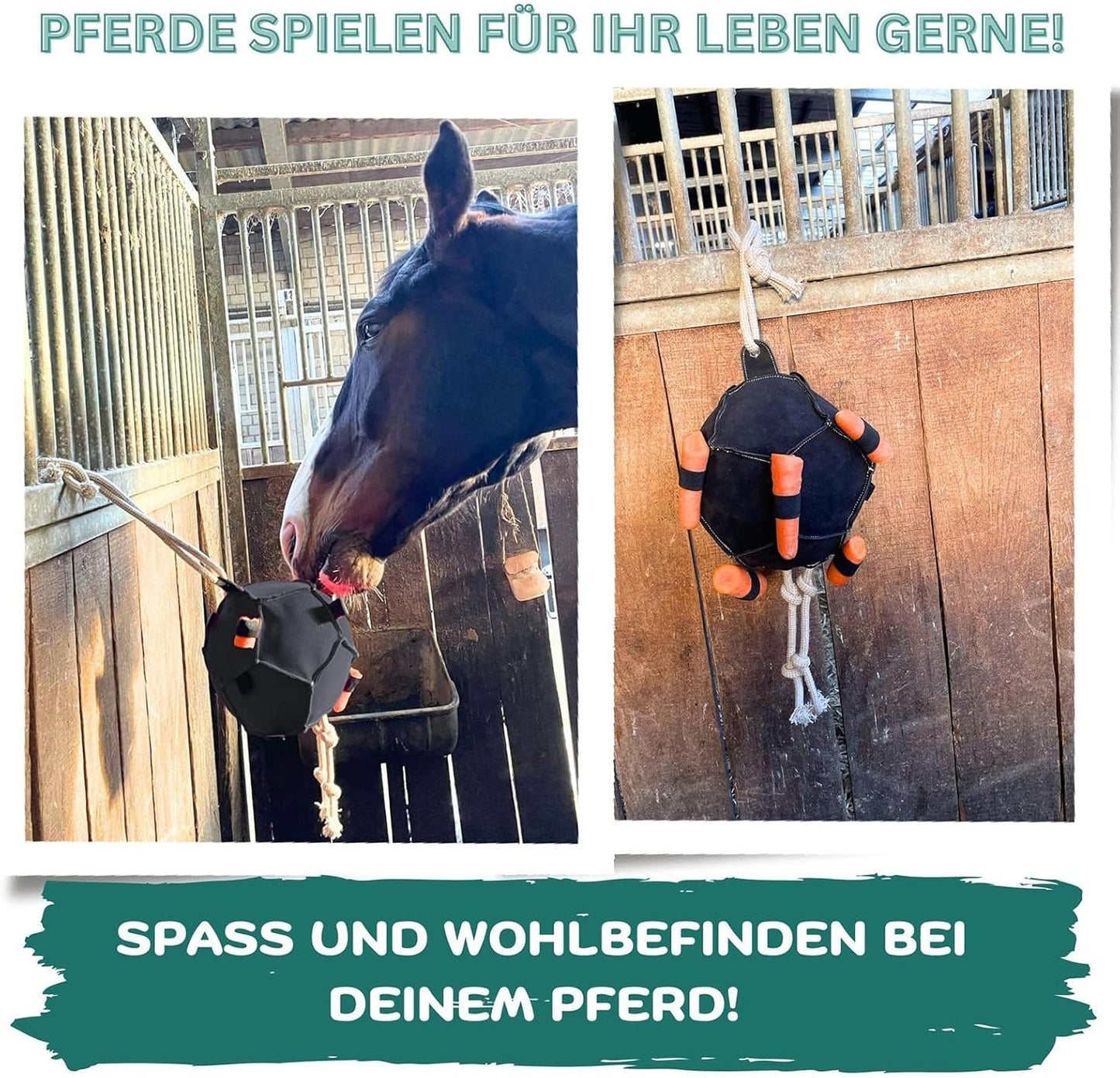 Horse Carrot Feeding Ball Toy, Horse Training Ball Toy, Slow Feed Carrot Feeder, Hanging Carrots Feeding Toys for Training Farm Goat Stable Field Boredom