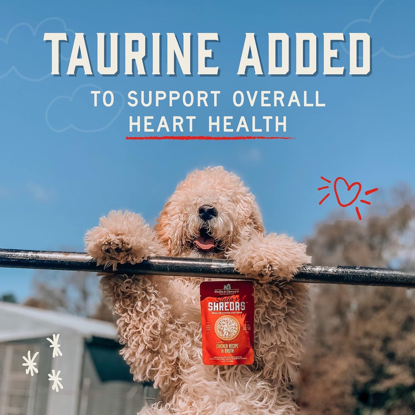 Stella & Chewy's Grass Fed Beef & Chicken Shredrs - Premium Dog Food Pouches - Perfect For Picky Eaters- 24 Pack, 2.8oz Each